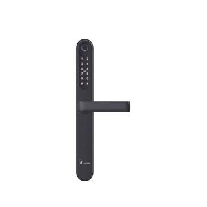 Austyle 305 x 33mm Matt Black Digital Smart Security Screen Entry Door Set