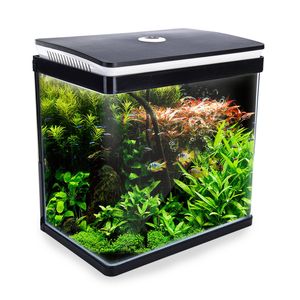 30L Curved Glass RGB LED Aquarium Fish Tank - Curved Glass(4mm) | All Water Types | Complete Aquarium Setup