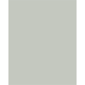 Stein 145 x 94mm Willow Vision Splashback
