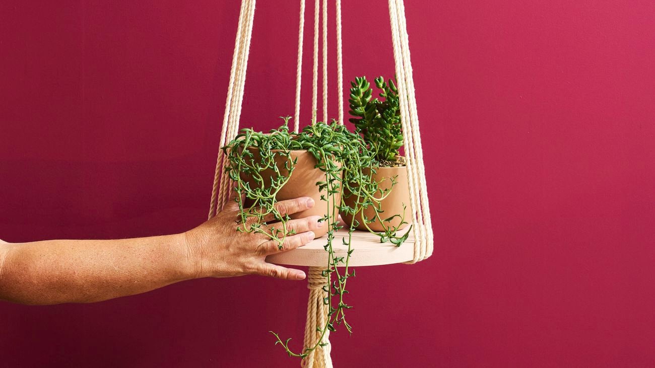 A hand holds in place a macramé hanging pot stand shot against a wall painted in Dulux Ripe Rhubarb
