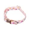 Happy Tails Small Donut Dog Collar
