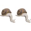 2x LVD Ledge Snail Resin Figurine Display Ornament Garden Home Decor 16cm Large
