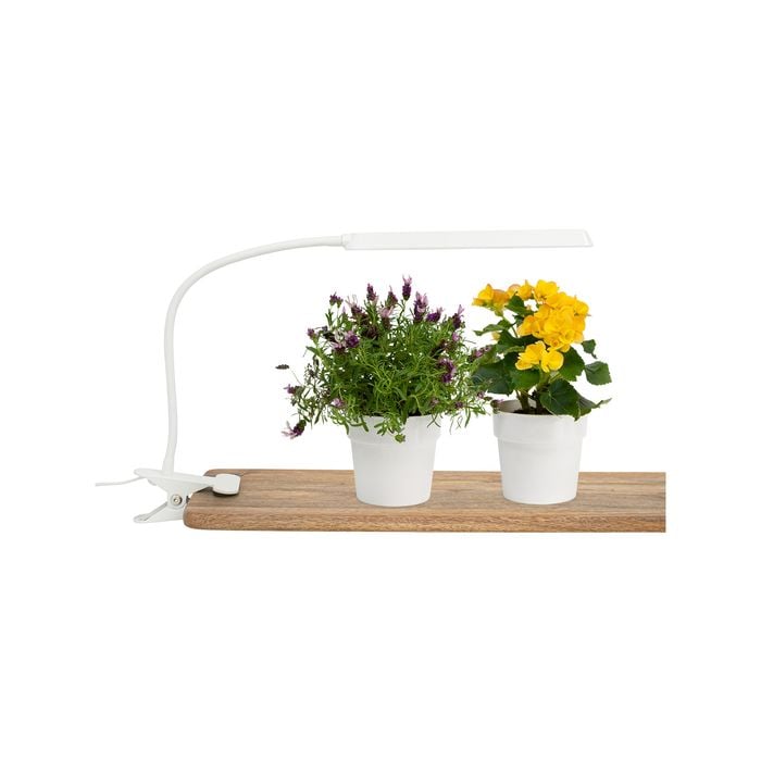 Home Grown Indoor Clip On Grow Light with Timer