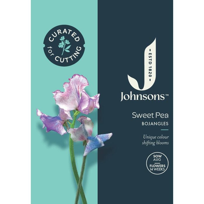 Johnsons Curated For Cutting Sweet Pea Bojangles