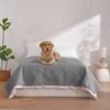 Charlie's Sofur Waterproof Dog Bed Cover Protector Double/queen 208x208cm Grey
