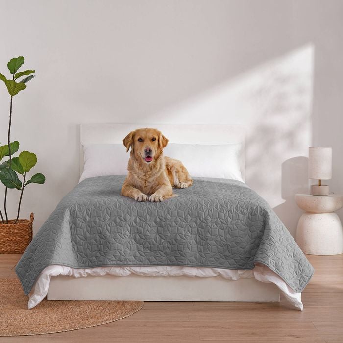 Charlie's Sofur Waterproof Dog Bed Cover Protector Double/queen 208x208cm Grey