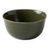 Ecology Ottawa Laksa Bowl 20cm Moss