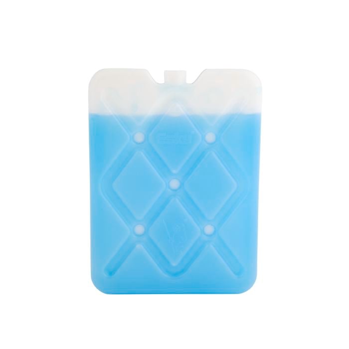 Esky Ice Brick Small Flat