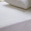 Big Sleep Sleep Easy Cotton Pure Cotton Mattress Protector Single