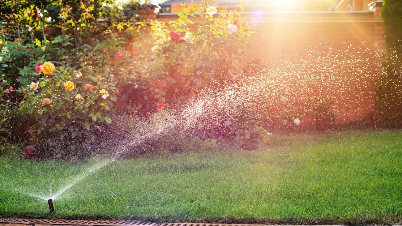 Green grass being watered with automatic sprinkler system in the morning.