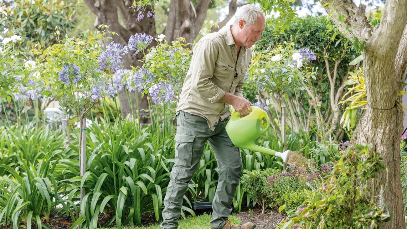 Man waters purple flowers with green watering can