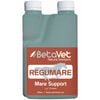 BetaVet Natural Solutions Horse Regumare Mare Support Supplement 250ml
