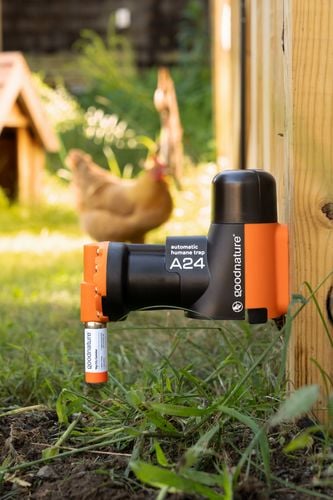An A24 trap outside on a post with a dog lying on the grass in the background