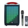 Weconic Portable Bluetooth Karaoke Speaker With Wireless Microphone