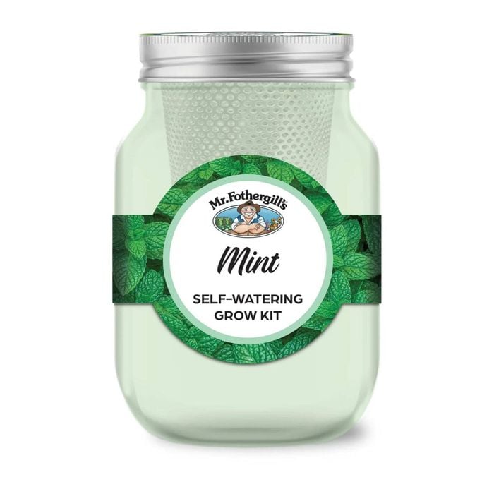 Mr Fothergill's Self Watering Mason Jar Grow Kit - Mint