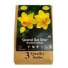 Daffodil Grand Sol Dior Bulbs - Narcicissus X Hybrida - 3 Pack