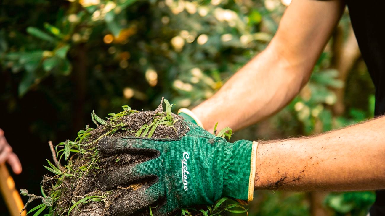A person wears garden gloves to move garden scraps