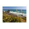 Artey | Coatal Surf - Stretched Canvas - Stretched Canvas - 40 x 60cm