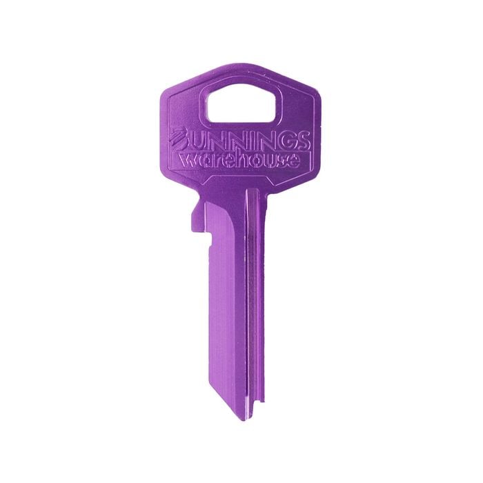 EHI TE2-GR10 Purple Blank Key
