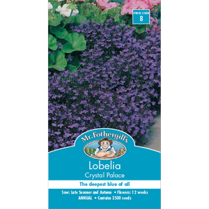 Mr Fothergill's Lobelia Crystal Palace Seeds