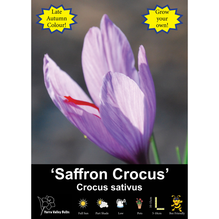 Yarra Valley Bulbs Saffron Crocus - 1 Pack
