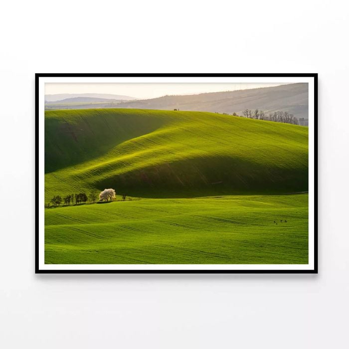 Field with a Sky and Mountain  Print 100% Australian Made 90x60cm  (Poster)