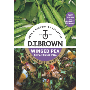 D.T. Brown Gourmet Winged Pea Asparagus Pea Seeds