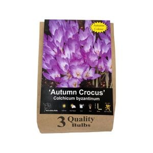 Yarra Valley Bulbs Colchicum Byzantinum - 3 Pack