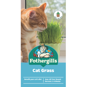 Fothergill's Cat Grass Seeds
