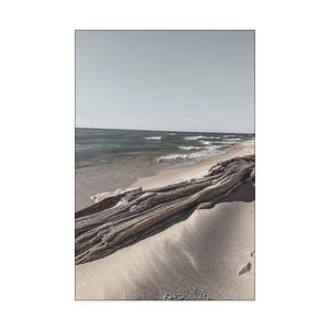 Artey | Ocean Beach Driftwood - Stretched Canvas - Stretched Canvas - 80 x 120 cm