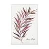 Artey | Areca Palm - Stretched Canvas - Stretched Canvas - 110 x 165cm