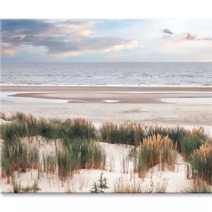 Dune Landscape on The North Sea Beach  Print 100% Australian Made 150 x 100cm  (Stretched)