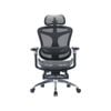 SIHOO Doro-C300 Ergonomic Office Chair with Premium Mesh Seat Headrest Armrest Lumbar Support and Footrest  (Black)