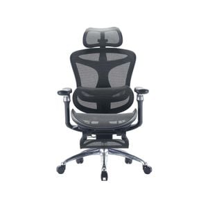 SIHOO Doro-C300 Ergonomic Office Chair with Premium Mesh Seat Headrest Armrest Lumbar Support and Footrest  (Black)