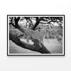 Cheetah Stands in Tree  Print 100% Australian Made 120x90cm  (Poster)