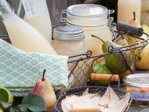 Display of products made after learning how to preserve fruit including juice, chutney and dried pear