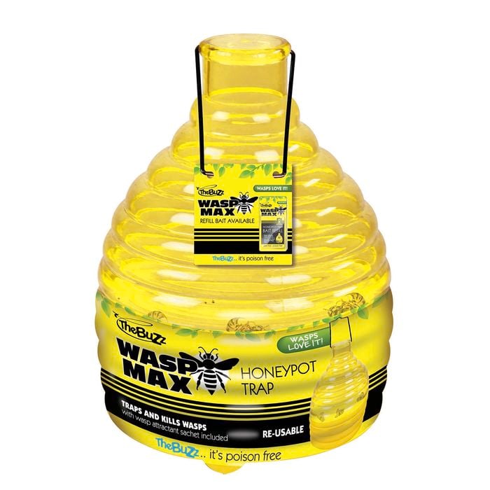 The Buzz Large Wasp Honeypot With Bait