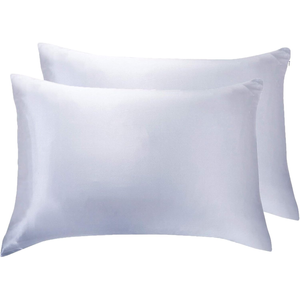 Gioia Casa Luxury Pillowcase 2 Pack - 100% Pure Mulberry Silk on Both Sides - Silver