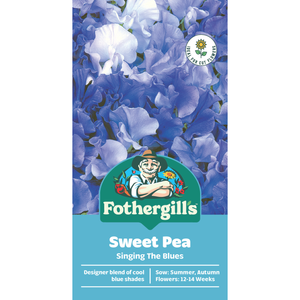 Fothergill's Sweet Pea Singing The Blues Flower Seeds
