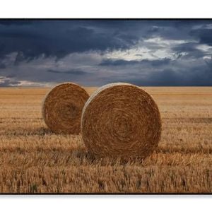 Straw Bales in A Field at Sunset   Print 100% Australian Made 90x60cm  (Poster)