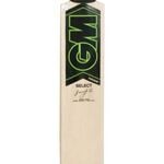 GM Paragon Contender Kashmir Willow Cricket Bat