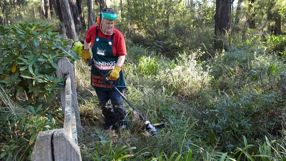 A person wearing protective gear using a brush cutter in bush