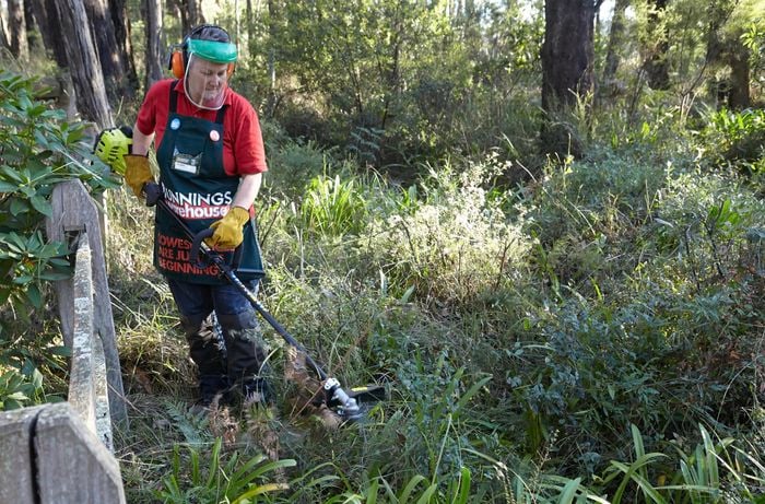 A person wearing protective gear using a brush cutter in bush
