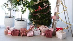 Four different types of Christmas trees, surrounded by gifts.