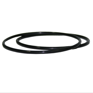 Stefani UCFA Filter Housings O Ring Replacement