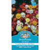 Mr Fothergill's Strawflower Tall Mixed Seeds