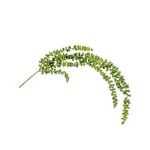 UN-REAL 60cm Green String Of Pearls Plug-in Stem Artificial Plant