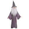 Lord Of The Rings Gandalf Wig & Beard Set Kids Halloween Party Costume Accessory