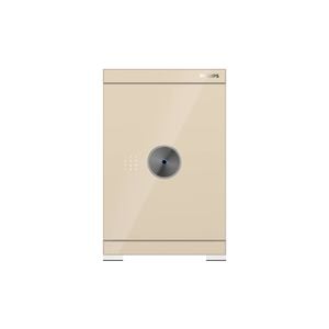 Philips SBX602-6CU 89KG Gold - Anti-Theft and Wi-Fi Connectivity Smart Safe
