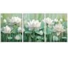 3pcs White lotus flower Art Painting Print 100% Australian Made 3 x 40x60cm (Metal Print)
